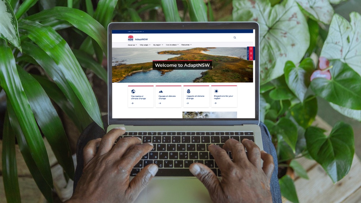 Man visiting the AdaptNSW website on a laptop surrounded by plants.